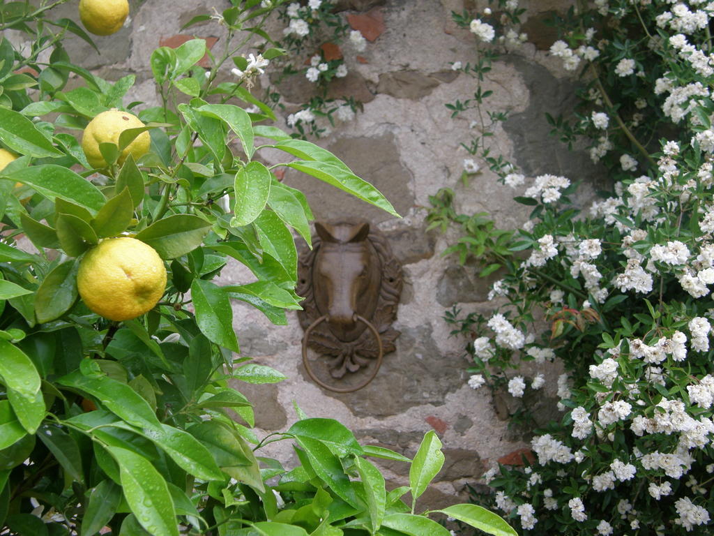 Centro Ippico Della Berardenga Villa Castelnuovo Berardenga Exterior photo